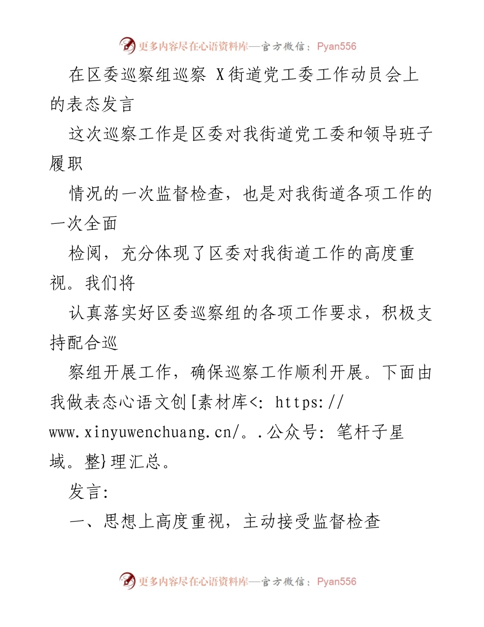 [发言] 巡察工作动员会 - 积极支持巡察，确保整改实效.docx_第1页