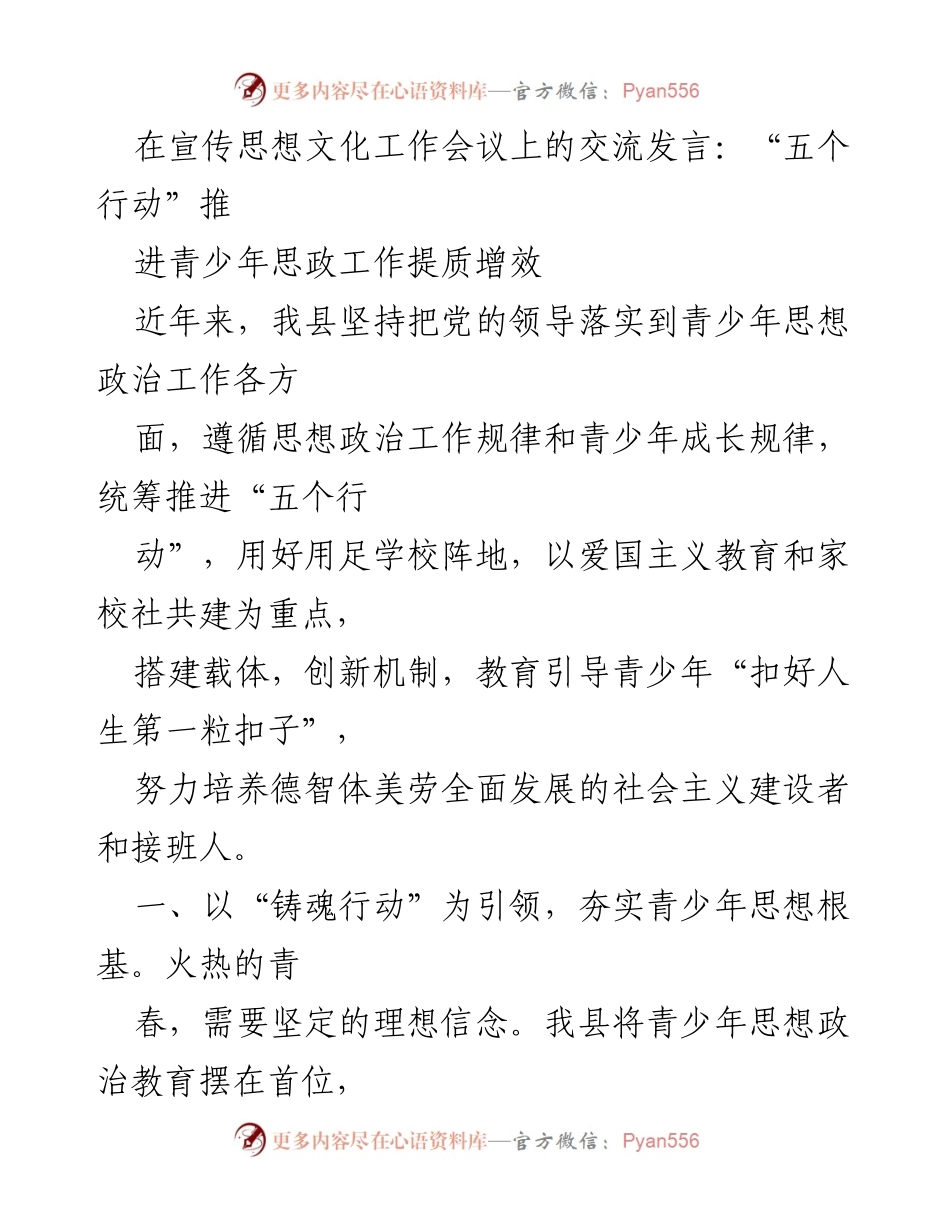 [发言] 宣传思想文化工作会议 - 推进青少年思政工作“五个行动”.docx_第1页