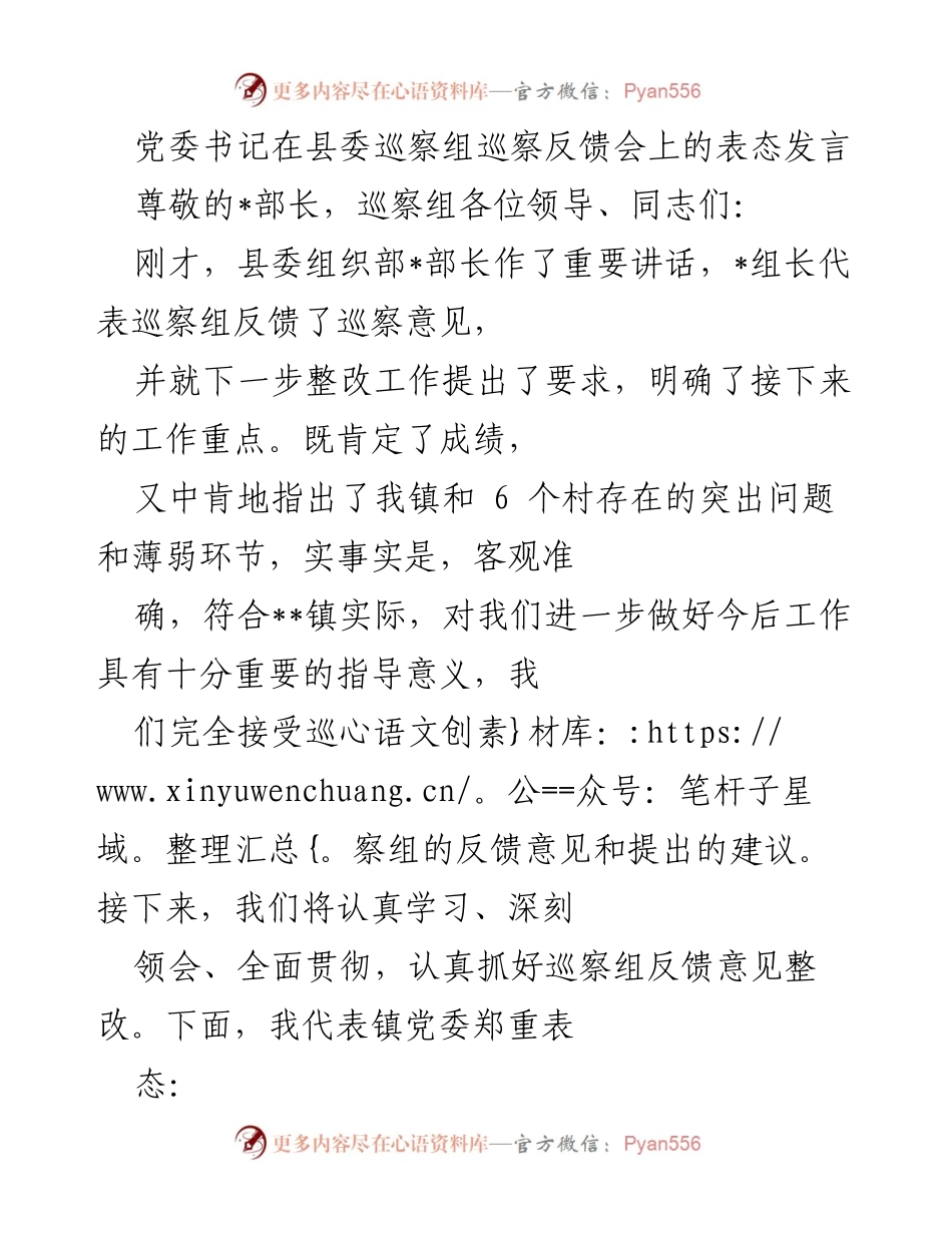 [发言] 巡察反馈会 - 党委书记的整改表态发言.docx_第1页