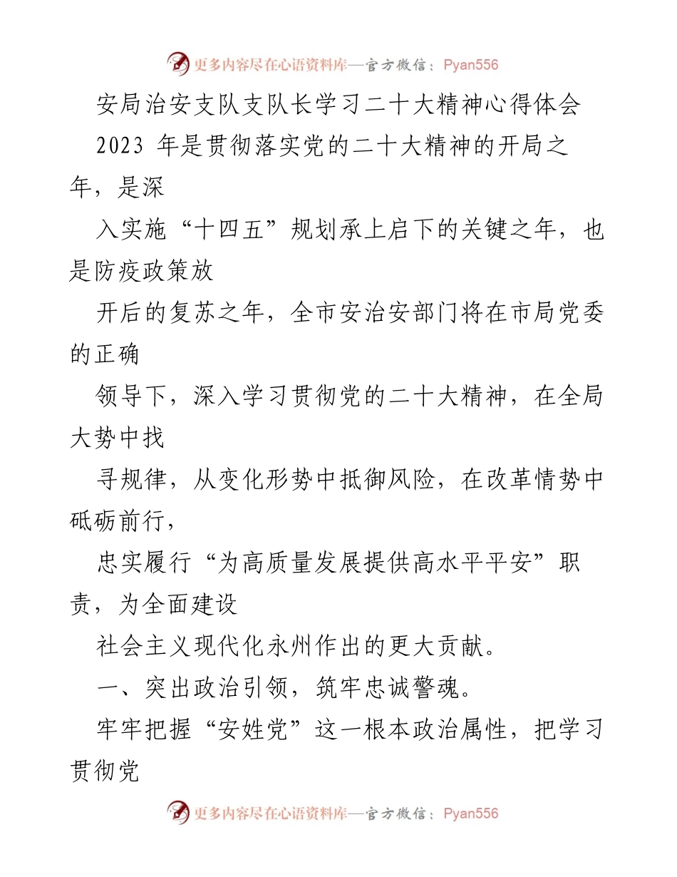 [发言] 学习贯彻党的二十大精神 - 深入学习贯彻党的二十大精神，筑牢治安工作根基.docx_第1页