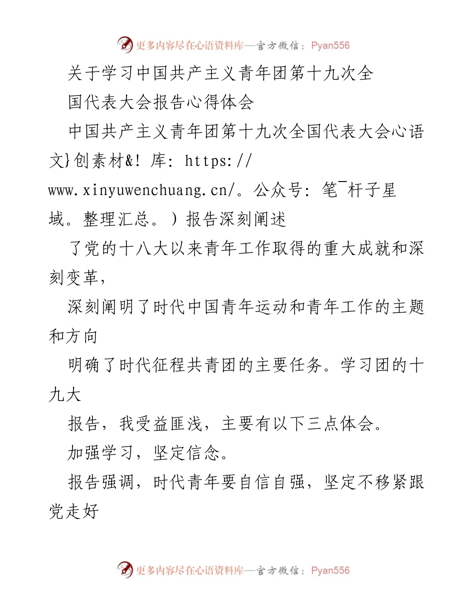 [发言] 学习分享 - 学习中国共产主义青年团第十九次全国代表大会报告的心得体会.docx_第1页