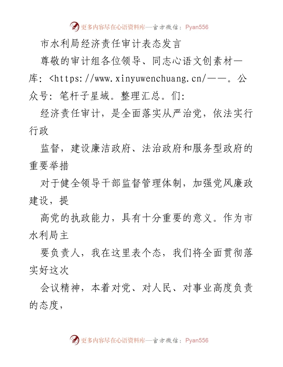 [发言] 审计会议 - 市水利局经济责任审计表态发言.docx_第1页