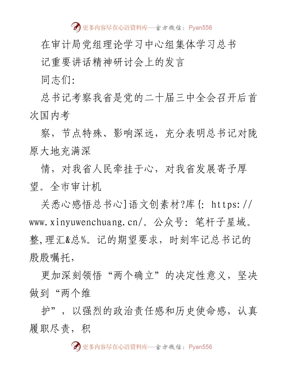 [发言] 审计局党组理论学习中心组研讨会 - 深刻领悟总书记讲话精神，推动审计工作新发展.docx_第1页