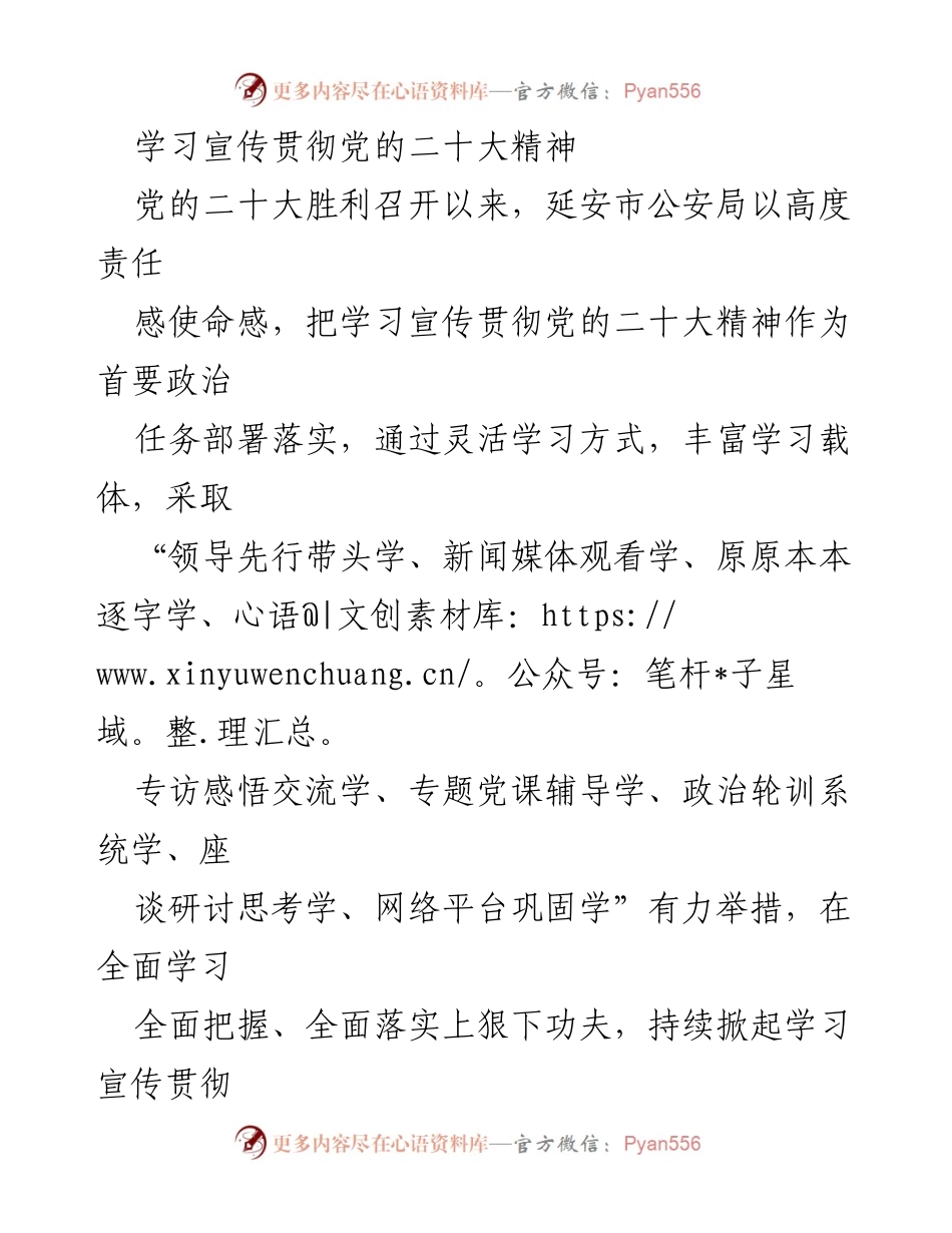 [发言] 学习宣传贯彻党的二十大精神 - 延安市公安局深入学习宣传贯彻党的二十大精神的多元举措.docx_第1页