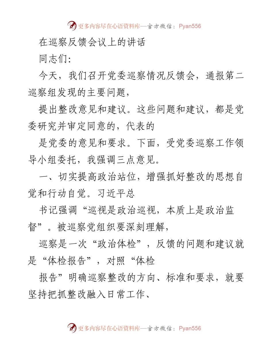 [发言] 巡察反馈会议 - 强调整改责任与政治站位的重要性.docx_第1页