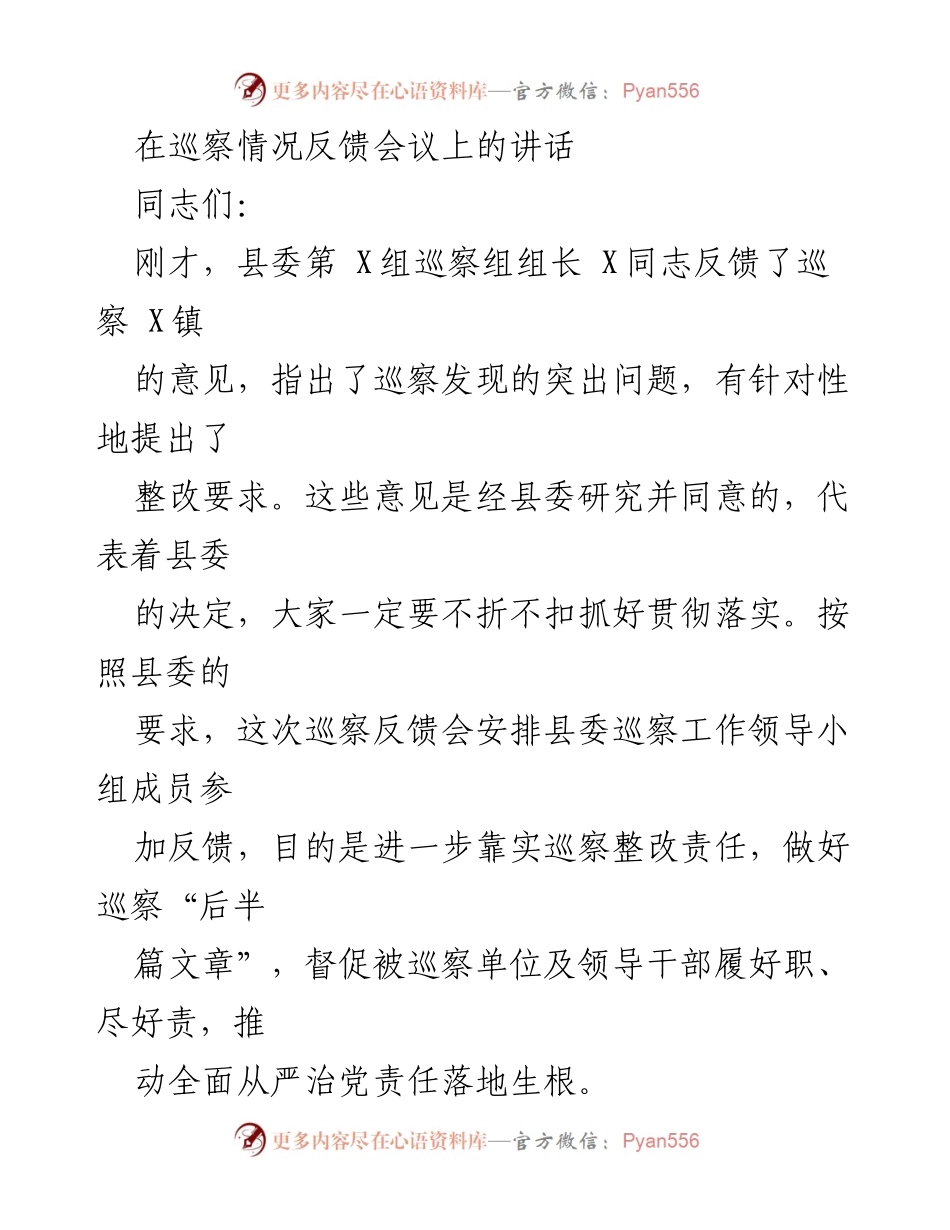 [发言] 巡察情况反馈会议 - 巡察整改工作的重要性与落实要求.docx_第1页