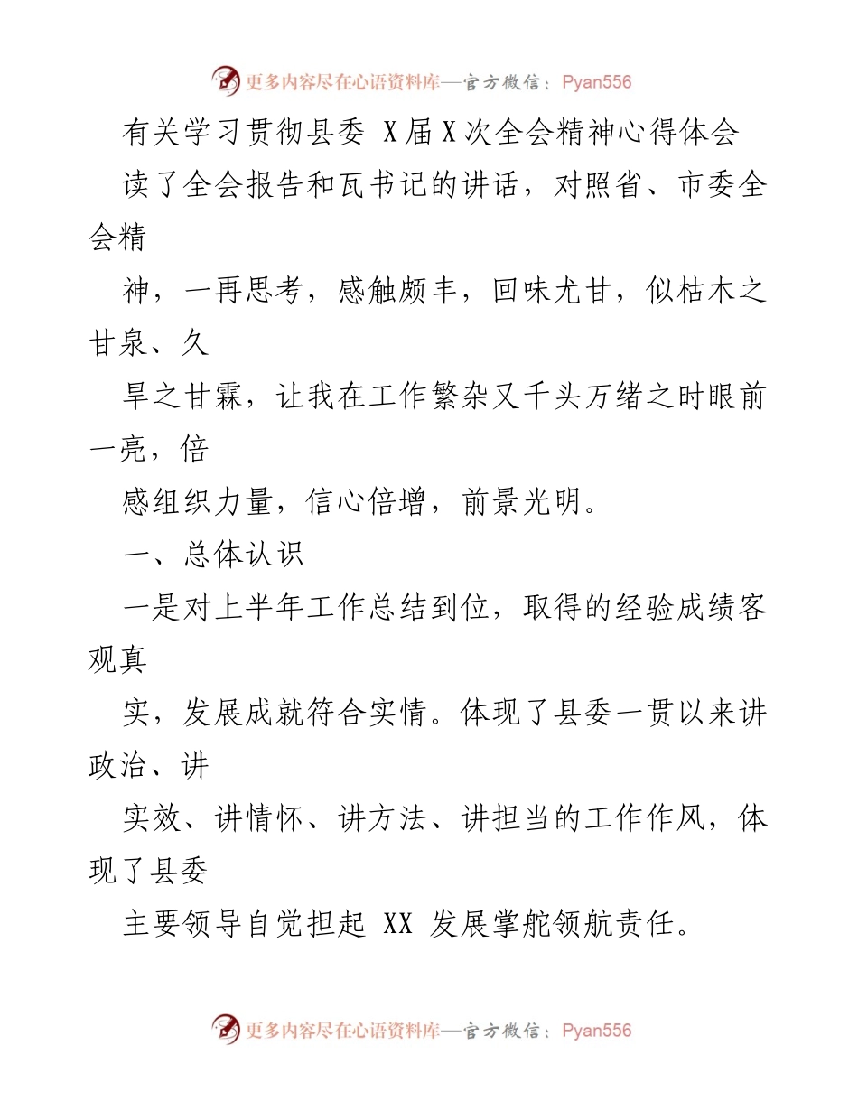 [发言] 学习贯彻县委全会精神 - 深入领会县委全会精神，推动高质量发展.docx_第1页