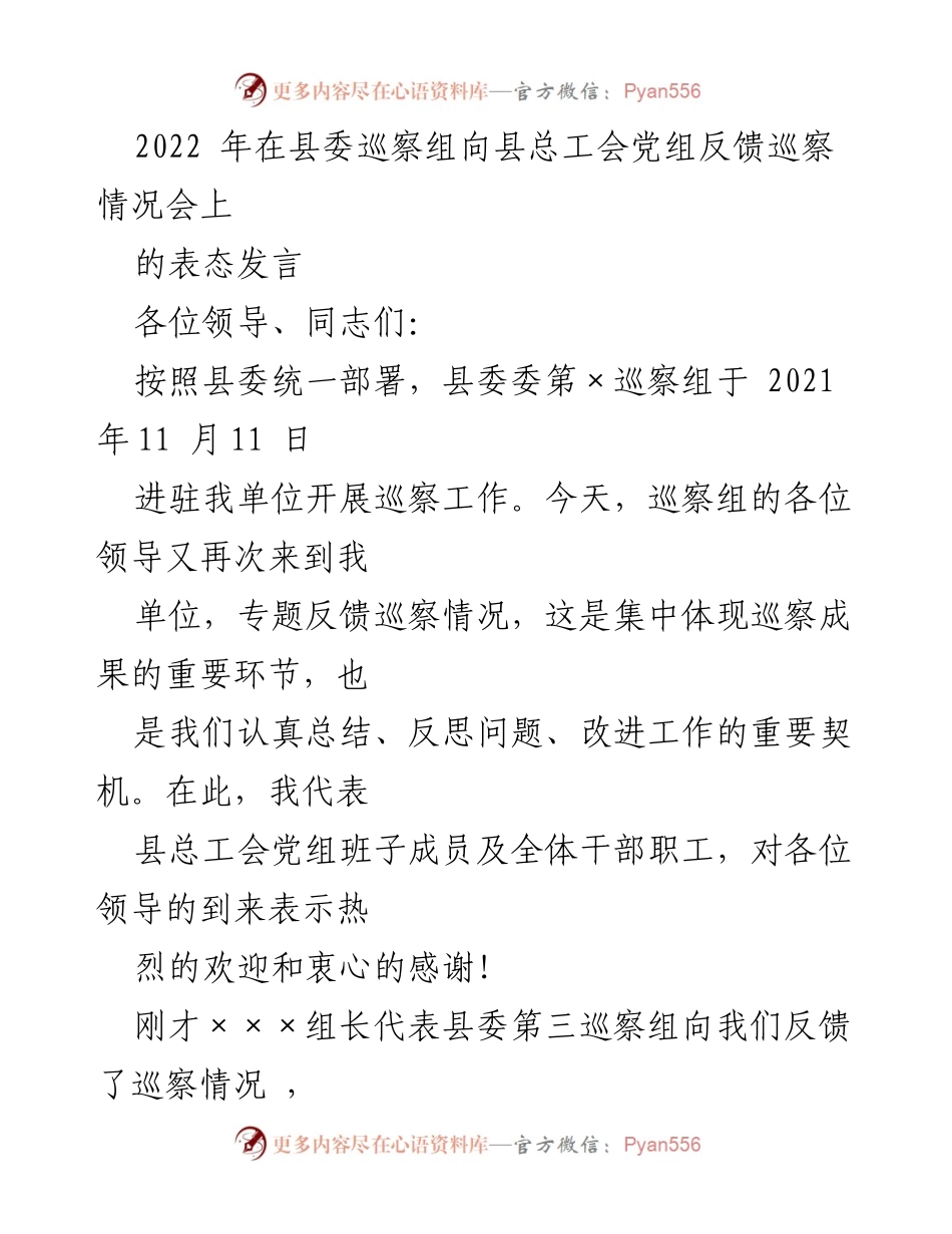 [发言] 巡察反馈会议 - 巡察整改工作表态发言.docx_第1页