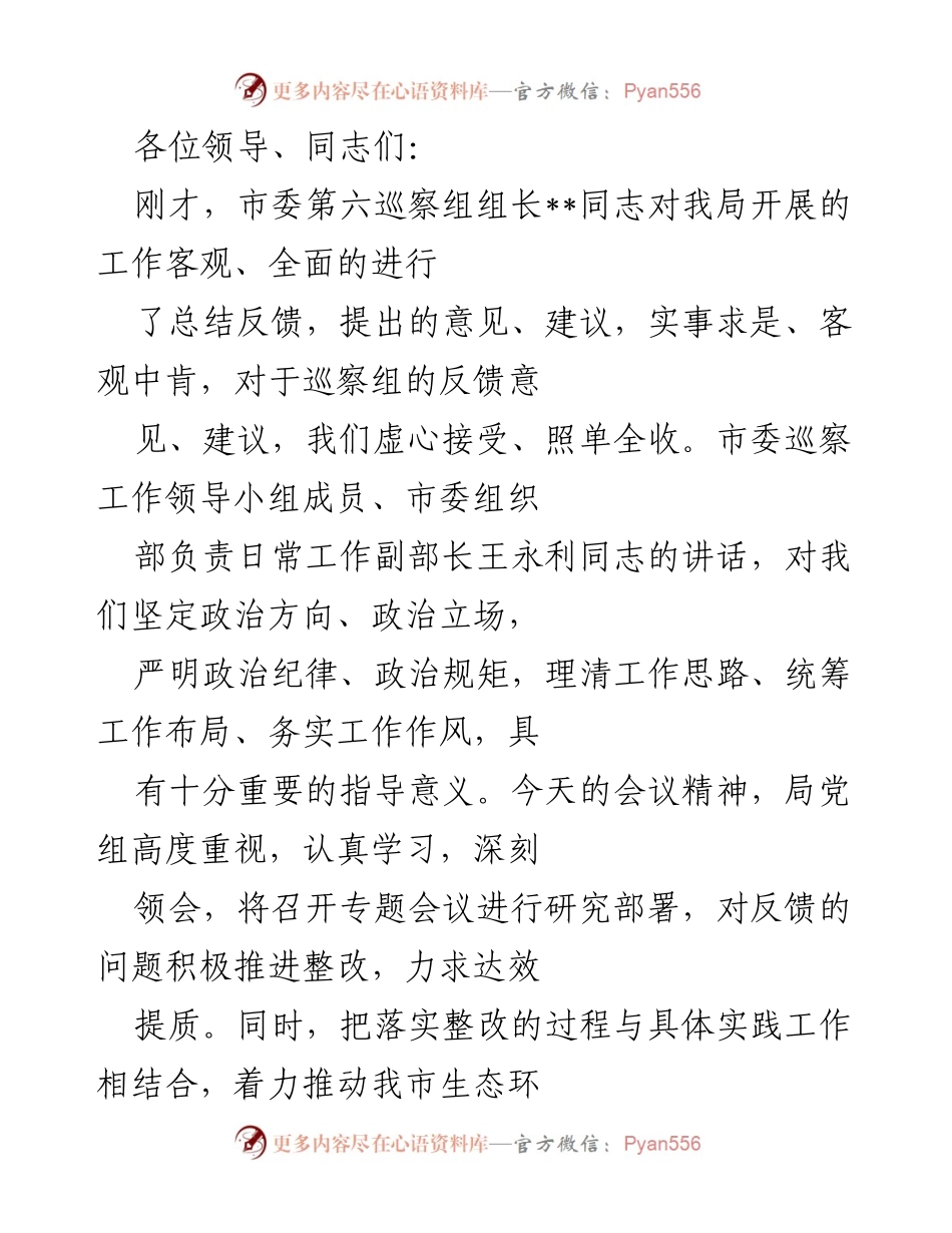 [发言] 巡察反馈会议 - 深刻领会巡察意见，推动生态环境保护工作整改落实.docx_第1页