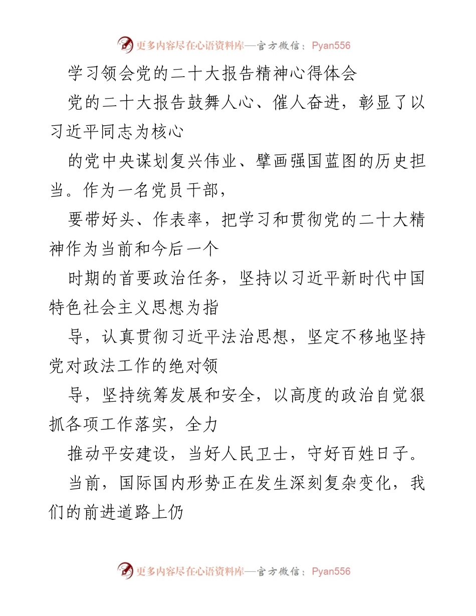 [发言] 学习交流会 - 深入学习贯彻党的二十大精神，推动公安工作高质量发展.docx_第1页