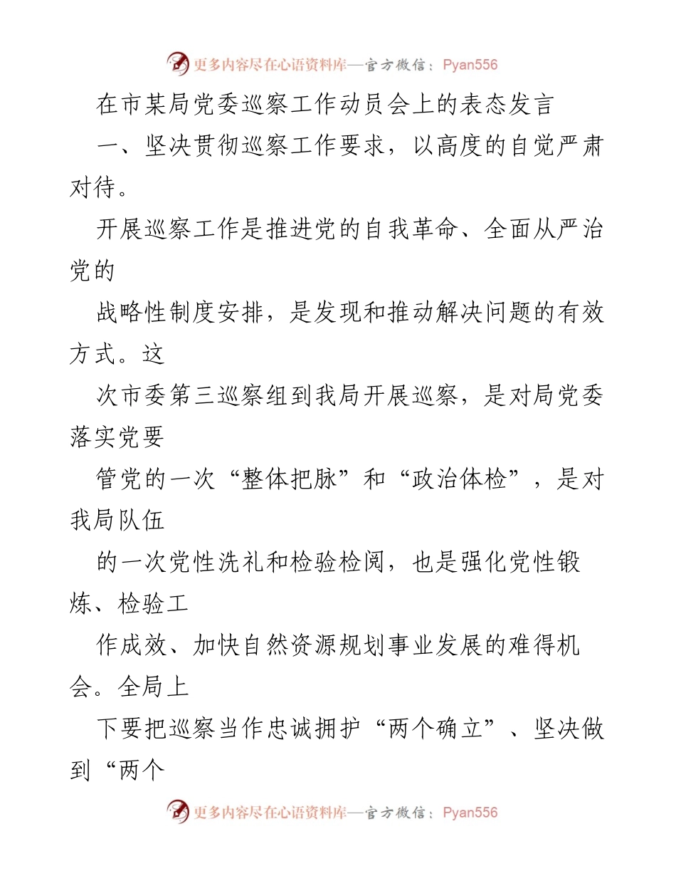 [发言] 巡察工作动员会 - 坚决支持巡察工作，强化责任落实与整改措施.docx_第1页