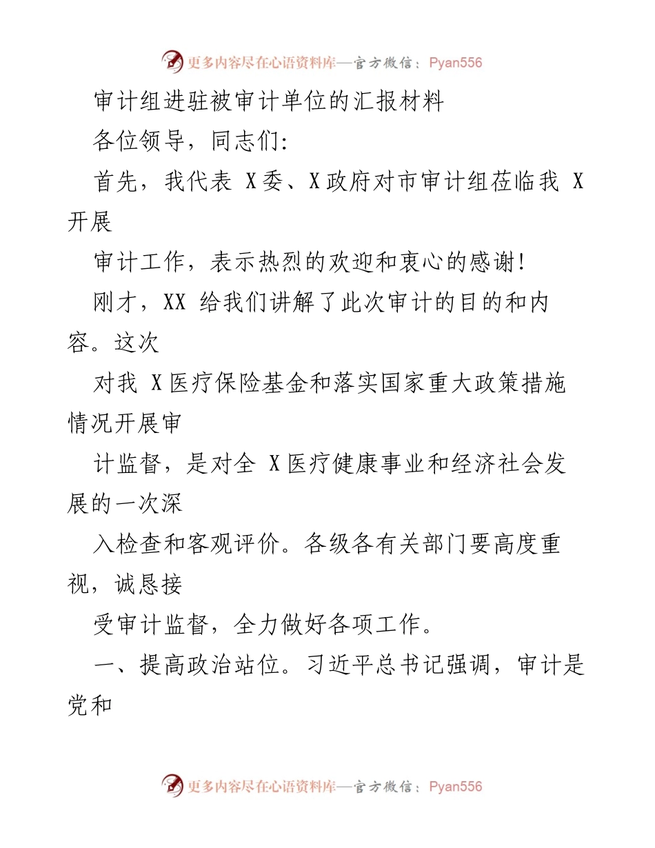 [发言] 审计工作会议 - 加强审计监督，推动医疗健康事业发展.docx_第1页