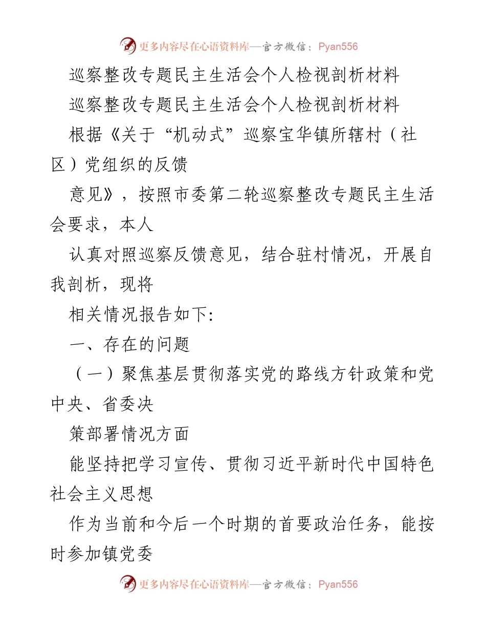 [发言] 巡察整改专题民主生活会 - 个人检视剖析材料总结.docx_第1页