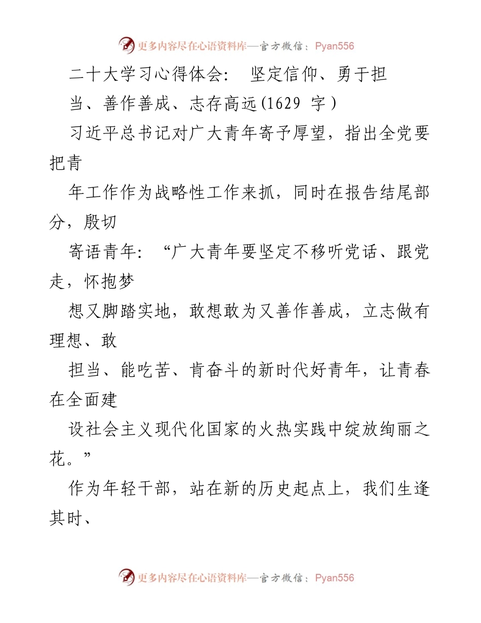 [发言] 学习心得分享 - 坚定信仰，勇于担当：新时代青年干部的使命与担当.docx_第1页