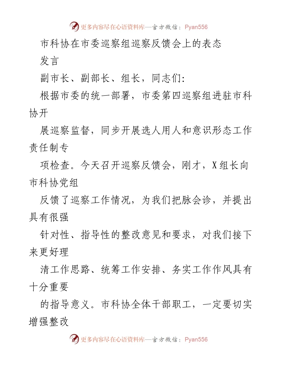 [发言] 巡察反馈会 - 加强政治责任，扎实推进巡察整改工作.docx_第1页