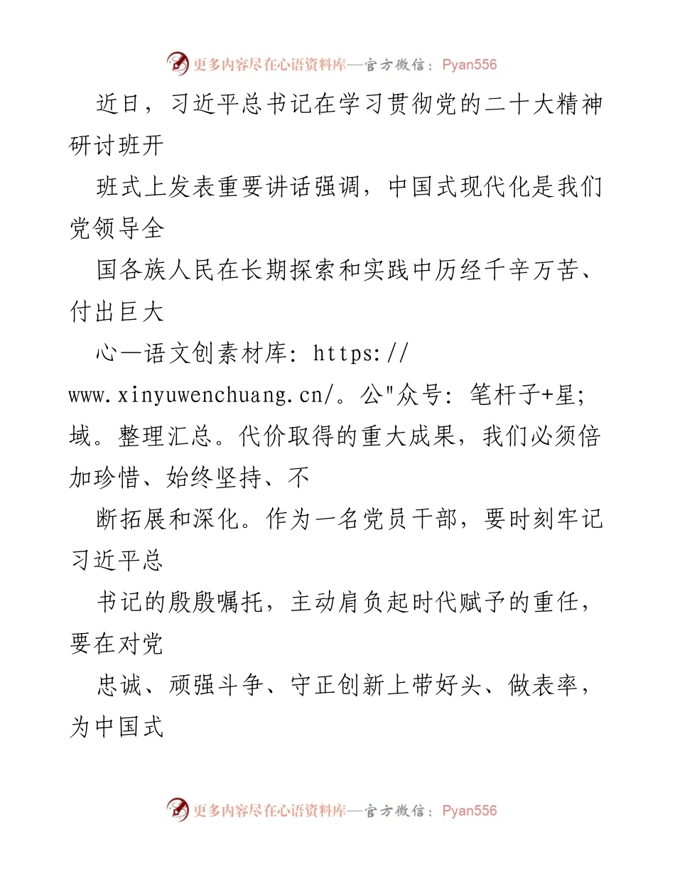[发言] 学习贯彻党的二十大精神研讨班 - 坚持党的领导，推动中国式现代化的使命与责任.docx_第1页