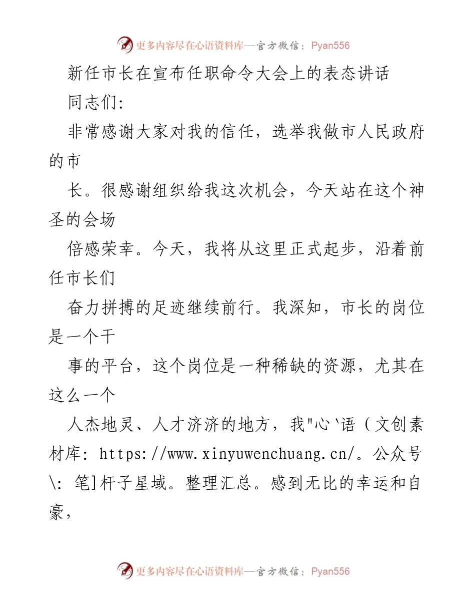 [发言] 宣布任职命令大会 - 新任市长的表态与承诺.docx_第1页