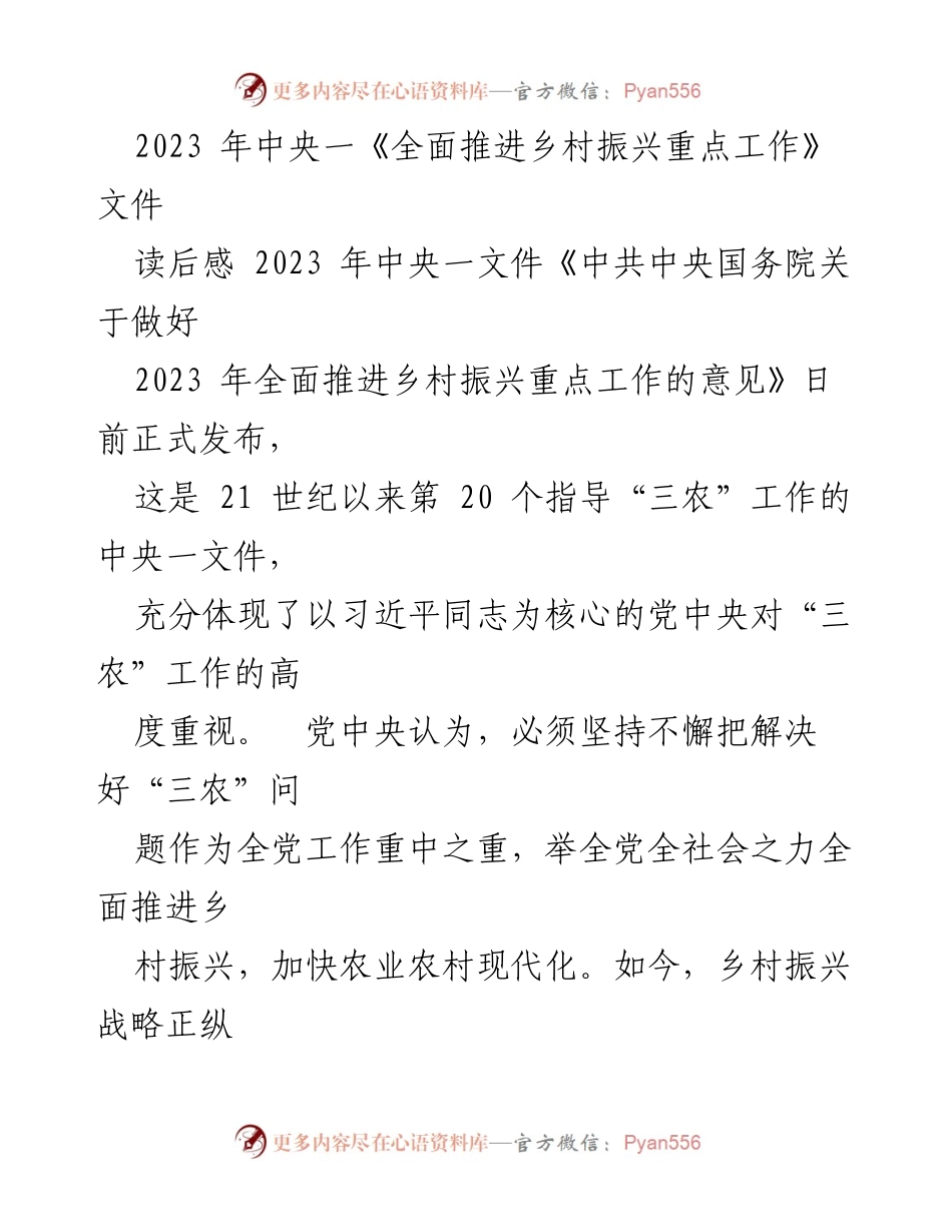[发言] 学习交流会 - 深入理解乡村振兴战略的核心要义与实施路径.docx_第1页
