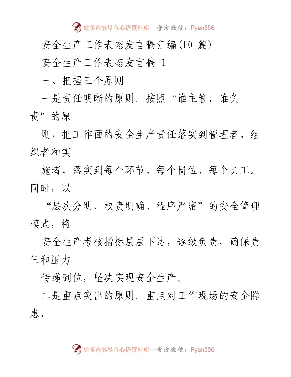 [发言] 安全生产工作会议 - 安全生产责任与管理原则表态发言.docx_第1页