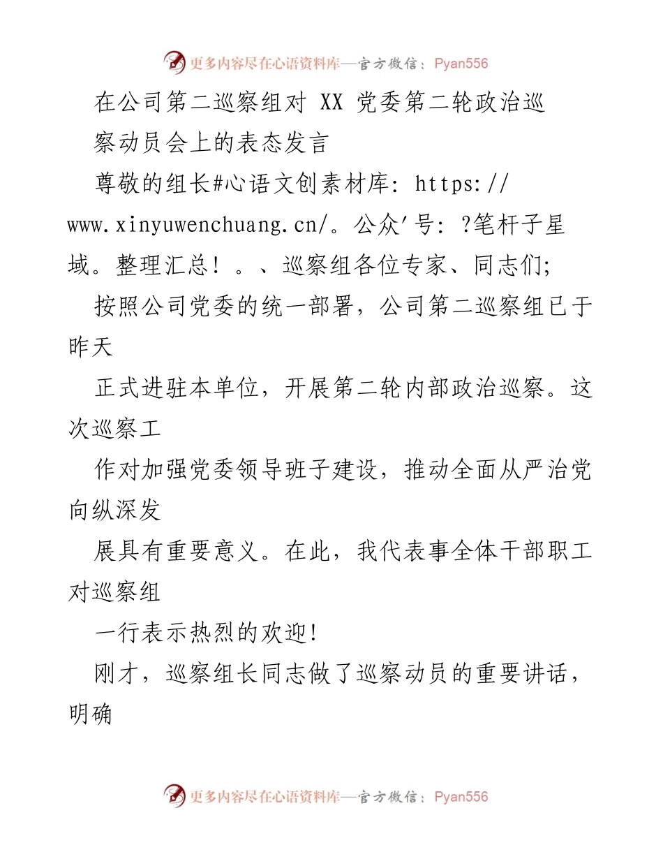 [发言] 巡察动员会 - 对公司第二巡察组的表态发言.docx_第1页