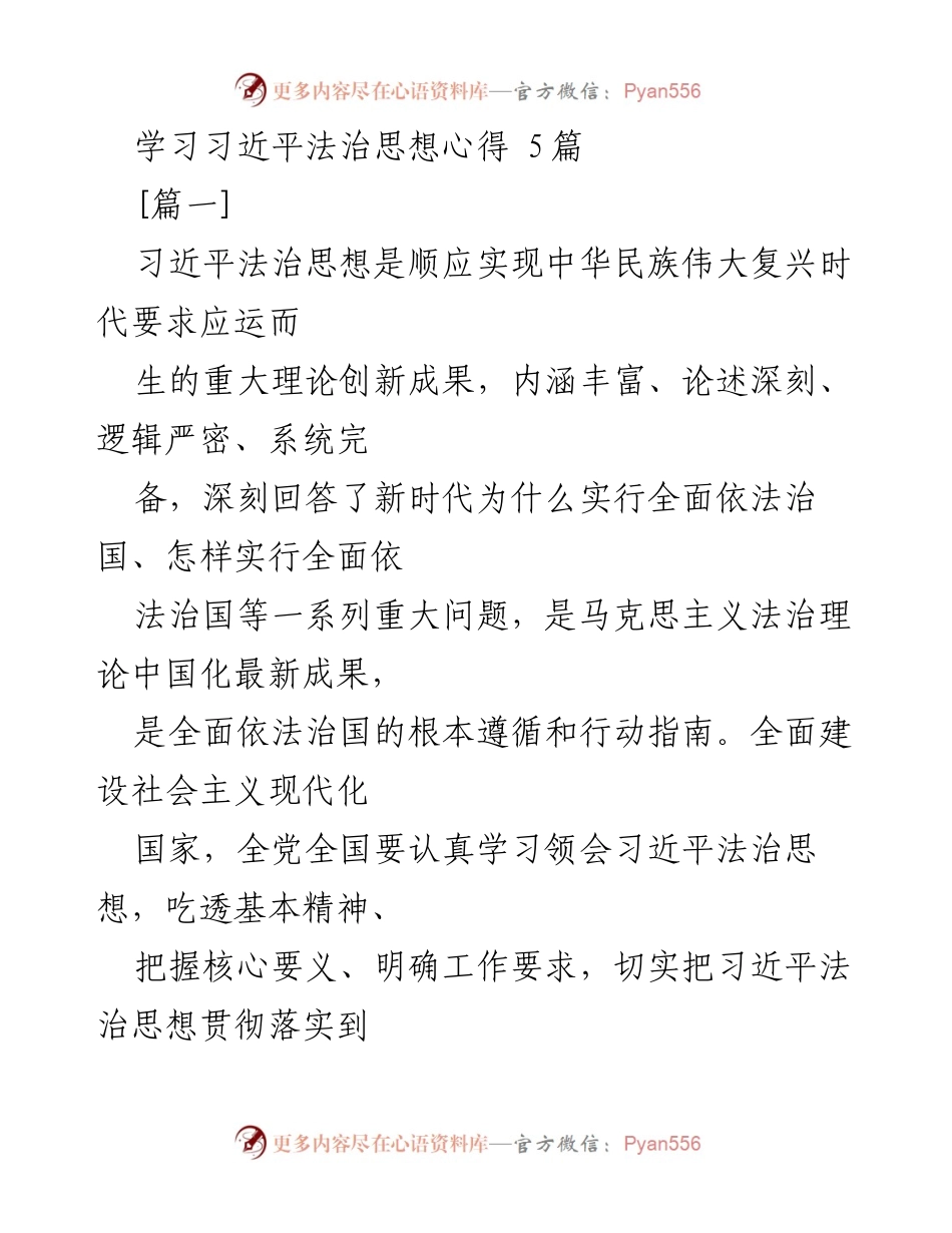 [发言] 学习交流会 - 深入理解习近平法治思想的重要性与实践路径.docx_第1页