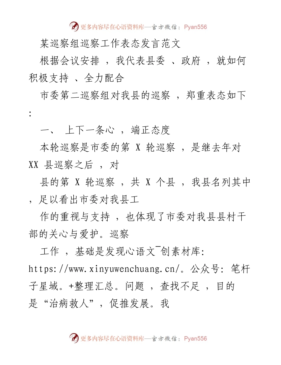 [发言] 巡察工作会议 - 积极支持市委巡察组，确保高质量完成巡察任务.docx_第1页