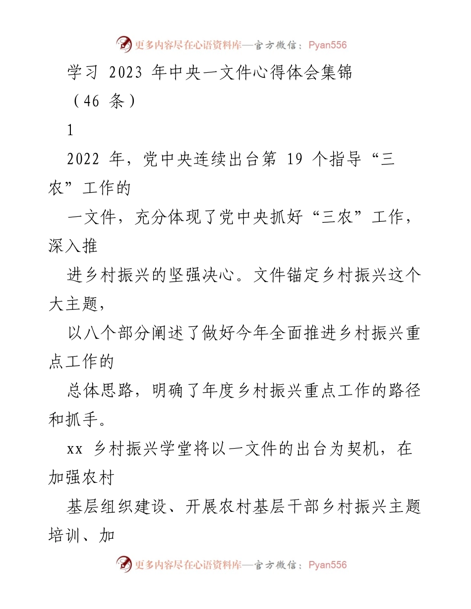 [发言] 学习交流会 - 2023年中央一文件解读与乡村振兴实践建议.docx_第1页