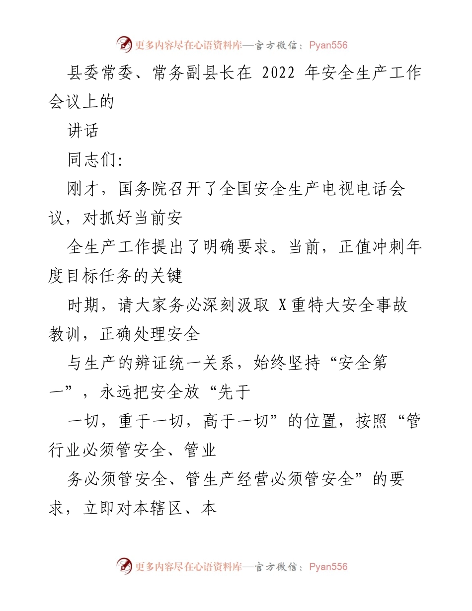 [发言] 安全生产工作会议 - 强调安全第一，确保年度目标任务完成.docx_第1页