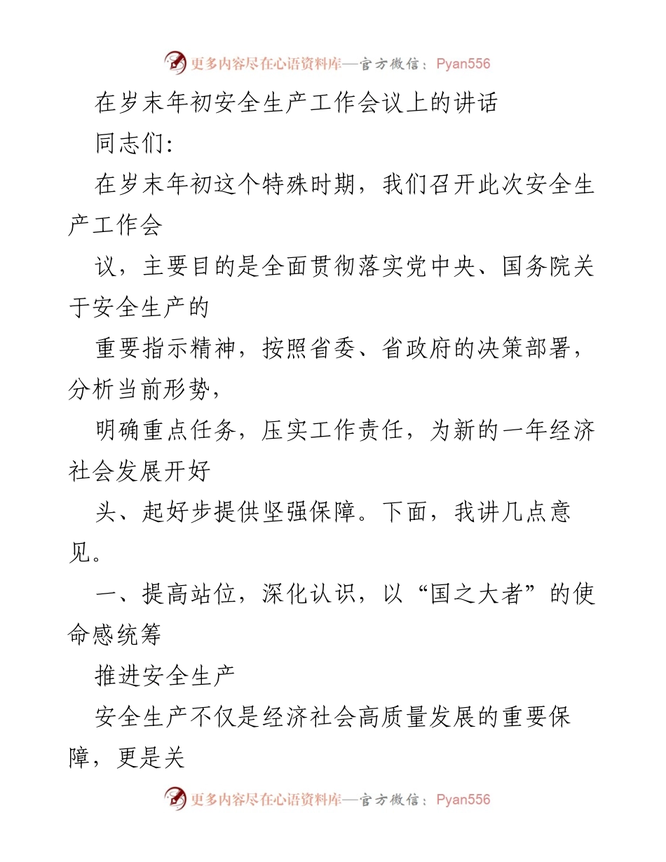 [发言] 安全生产工作会议 - 强化安全生产责任，保障经济社会发展.docx_第1页