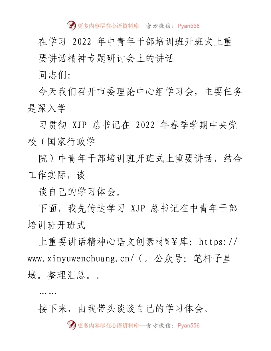 [发言] 学习会 - 学习贯彻总书记讲话精神，提升年轻干部政治担当与理论武装.docx_第1页