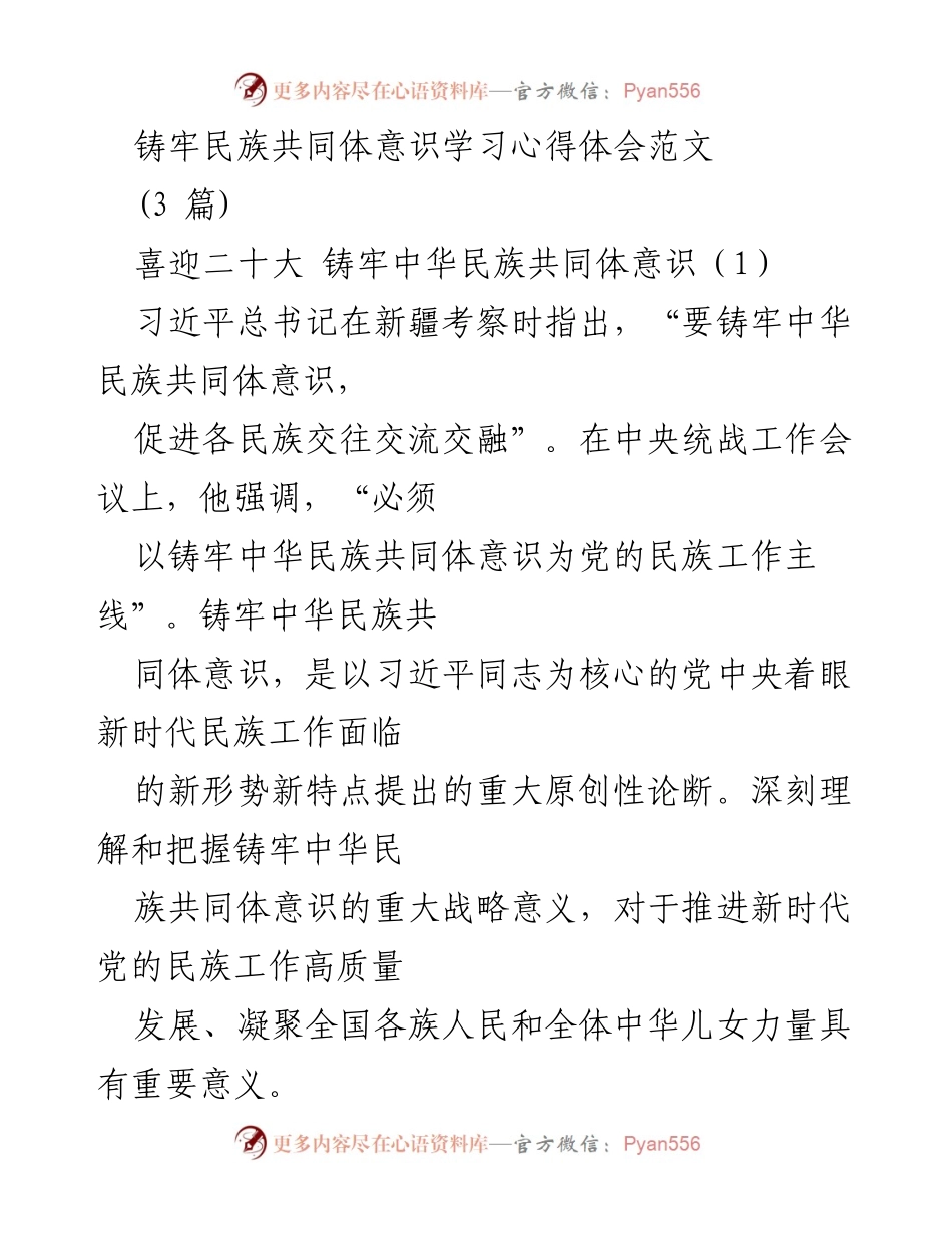 [发言] 学习心得分享 - 铸牢中华民族共同体意识的重要性与实践路径.docx_第1页