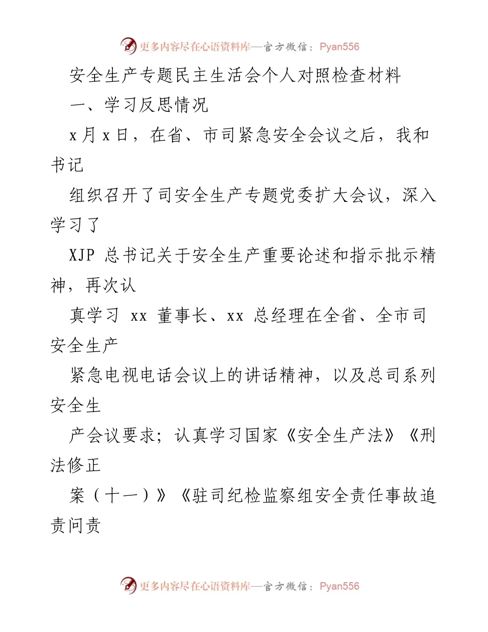 [发言] 安全生产专题民主生活会 - 深化安全生产意识，落实责任与隐患排查.docx_第1页