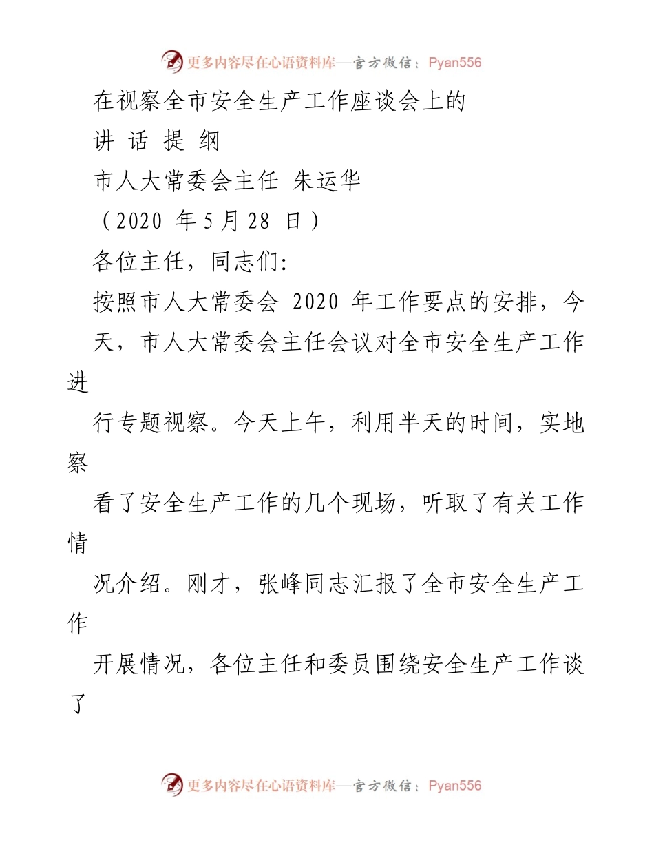 [发言] 安全生产工作座谈会 - 全市安全生产工作视察总结与展望.docx_第1页