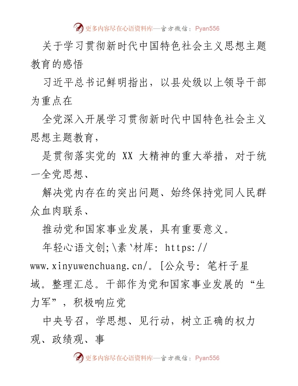 [发言] 学习贯彻新时代中国特色社会主义思想主题教育 - 年轻干部在新时代中国特色社会主义思想主题教育中的责任与担当.docx_第1页