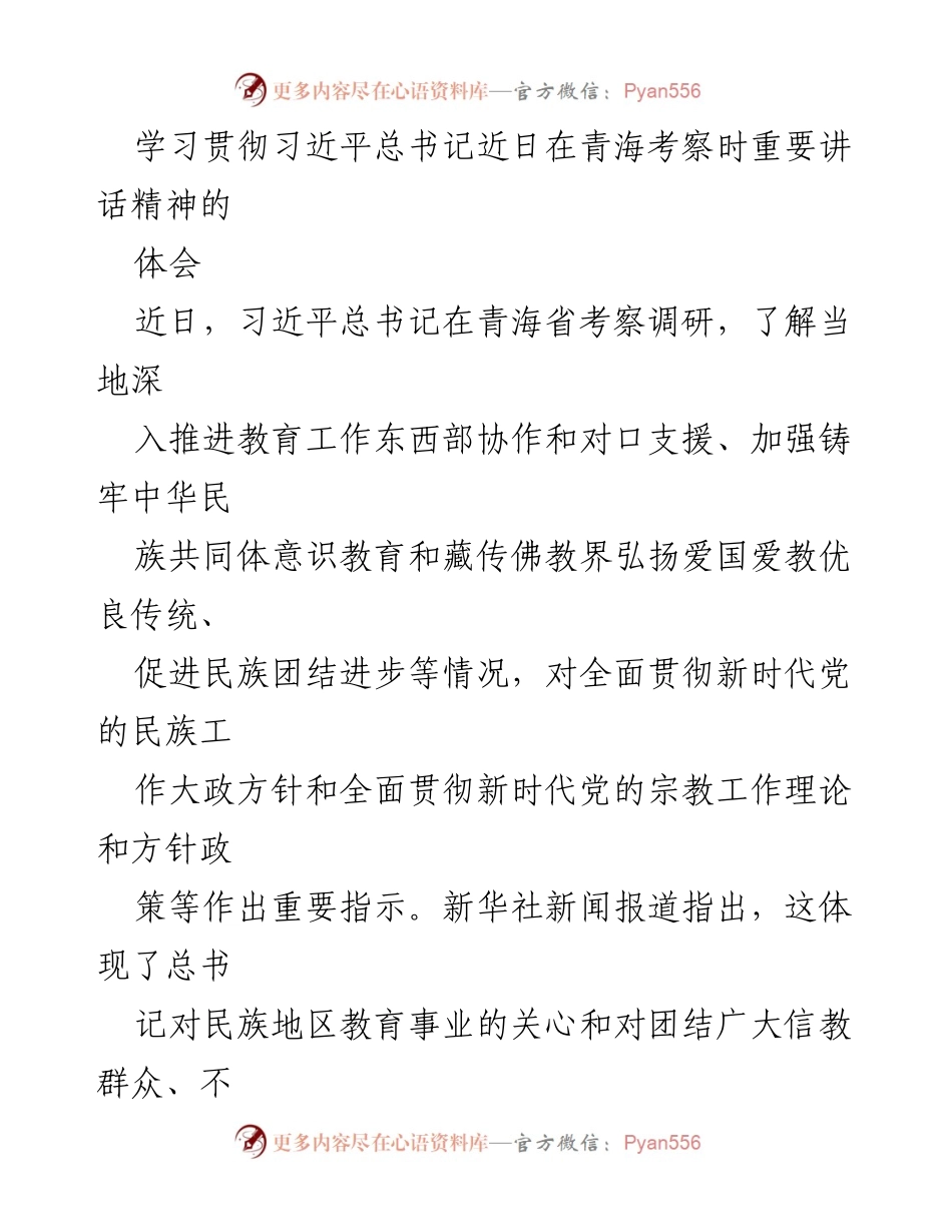 [发言] 学习贯彻习近平总书记重要讲话精神 - 深刻领悟习近平总书记在青海考察时的重要指示.docx_第1页