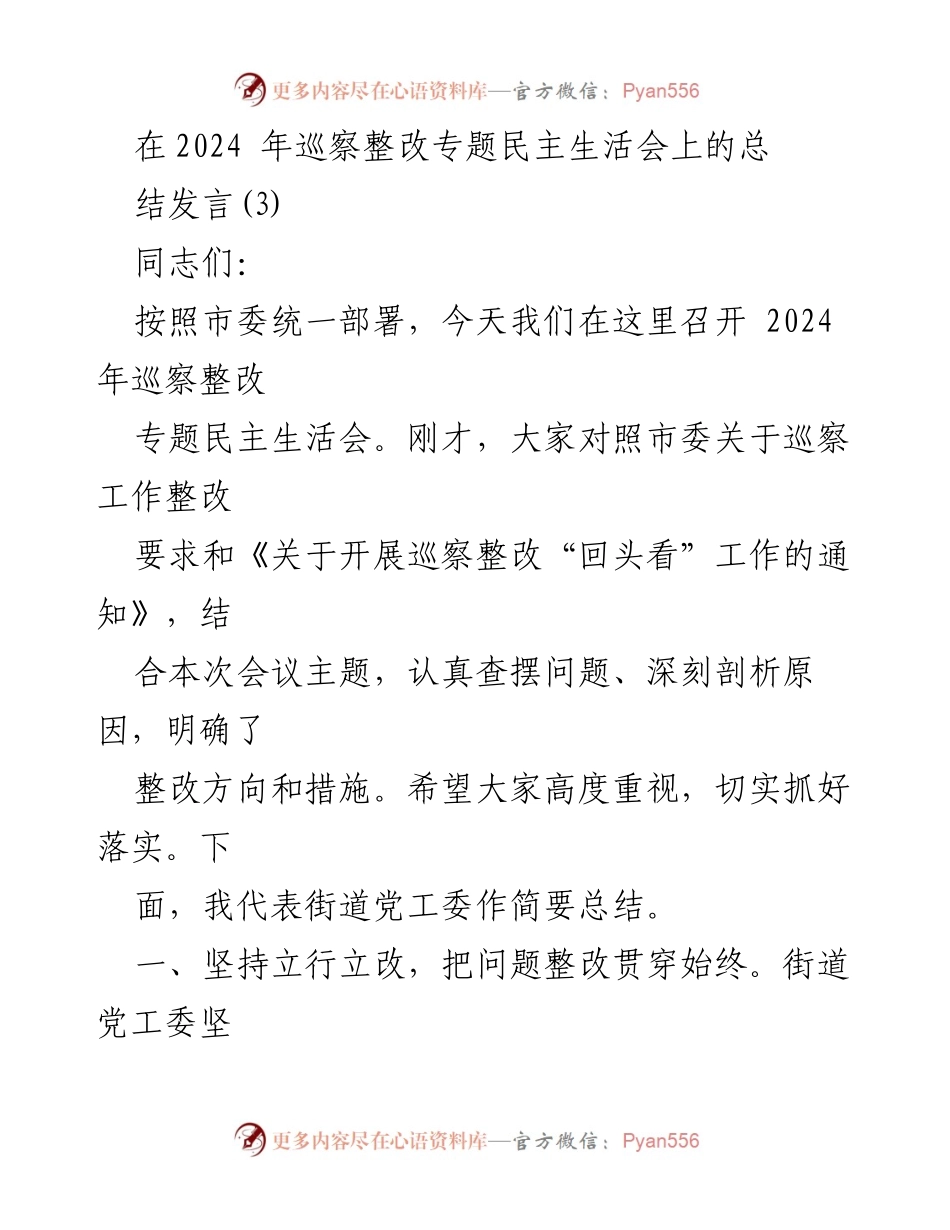 [发言] 巡察整改专题民主生活会 - 2024年巡察整改工作总结发言.docx_第1页