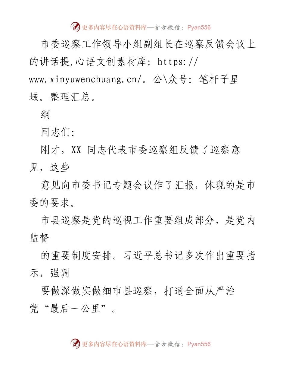 [发言] 巡察反馈会议 - 加强巡察整改，落实政治责任.docx_第1页