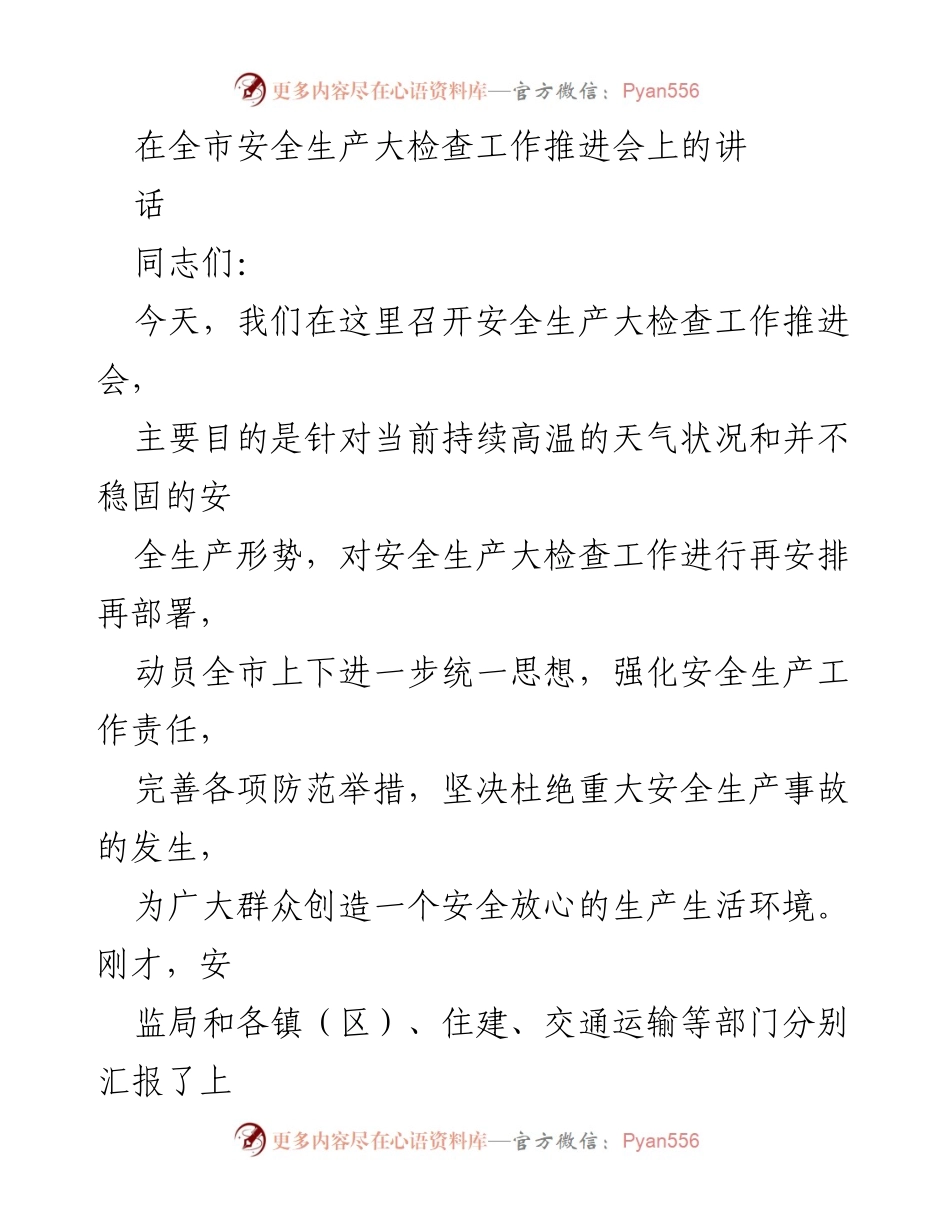 [发言] 安全生产大检查工作推进会 - 强化安全责任，确保生产安全.docx_第1页