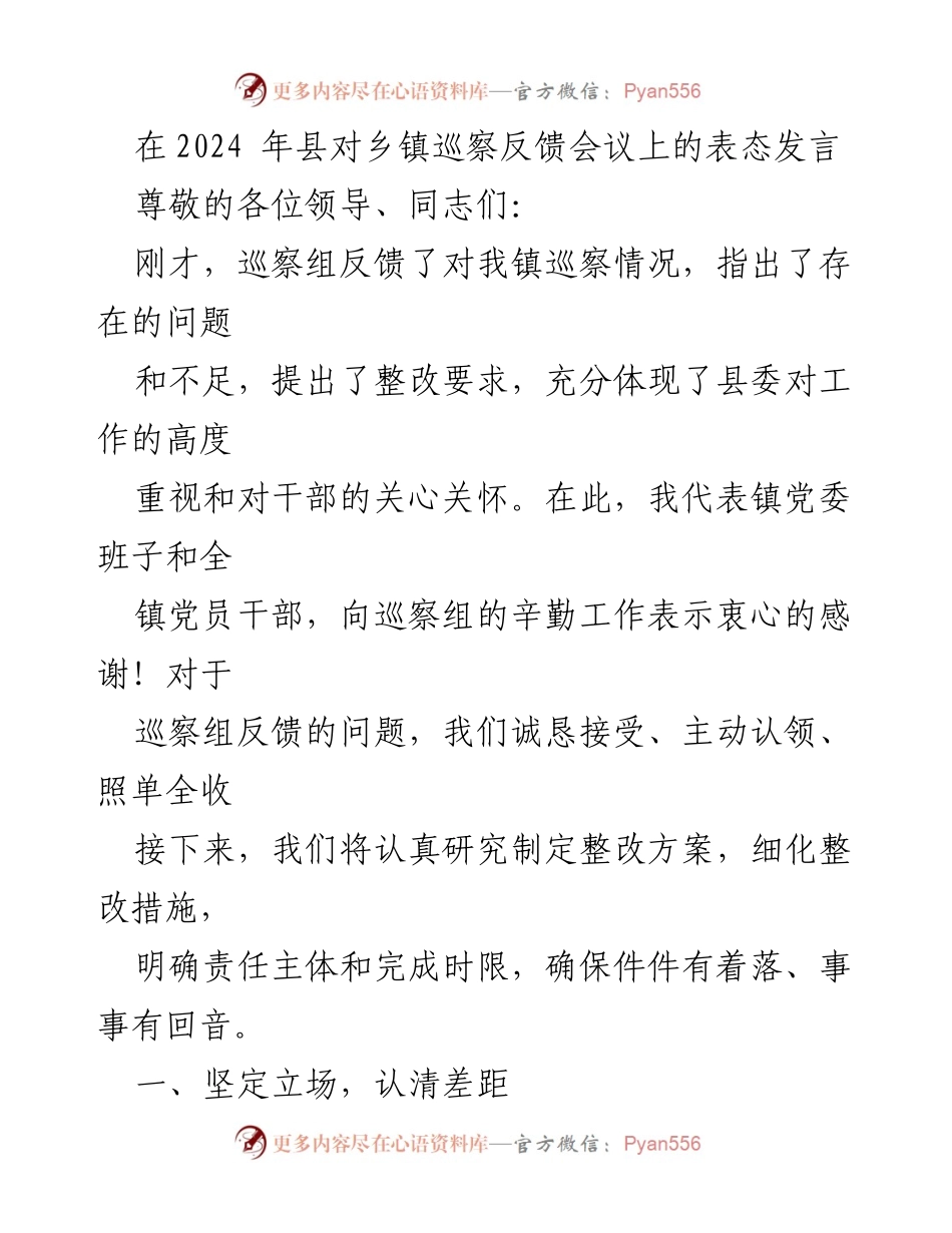 [发言] 巡察反馈会议 - 坚决整改，提升工作效能.docx_第1页