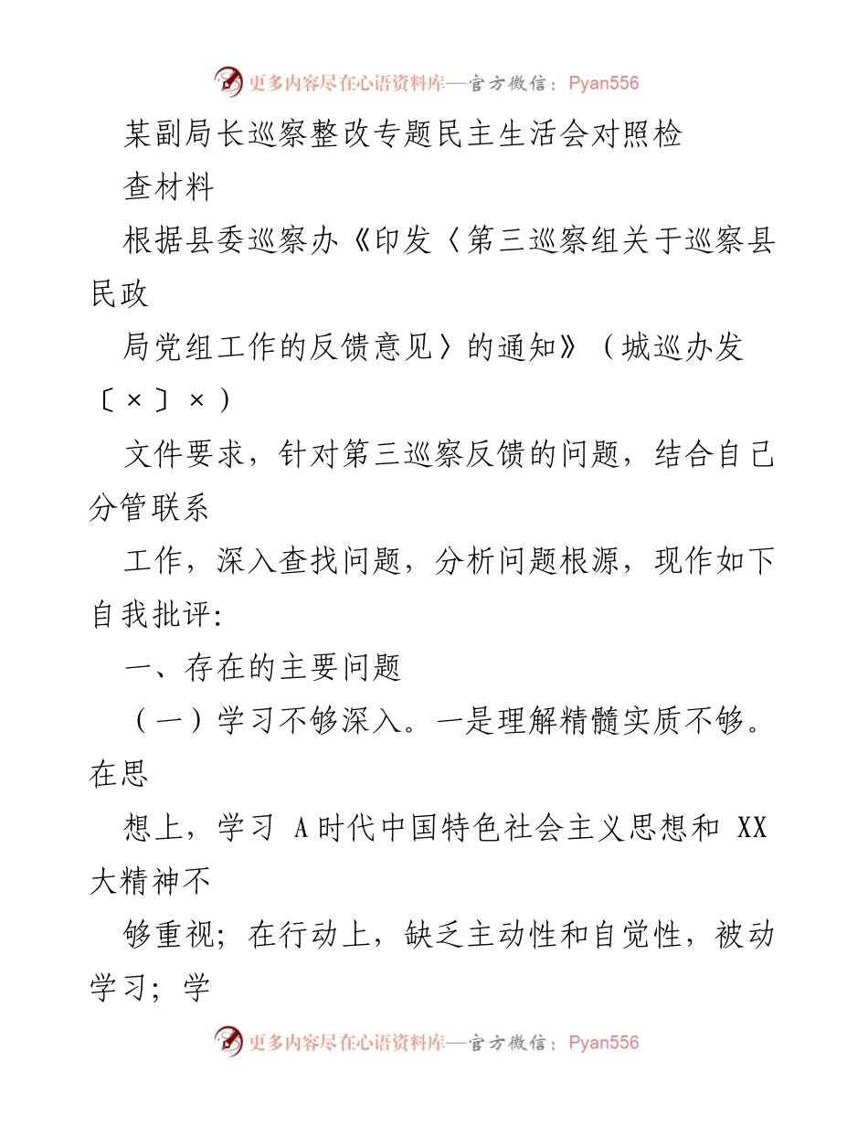 [发言] 巡察整改专题民主生活会 - 副局长巡察整改自我批评与反思.docx_第1页