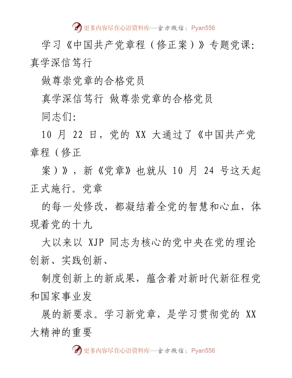 [发言] 学习党章专题党课 - 深入学习新党章，做合格党员的必要性与实践.docx_第1页