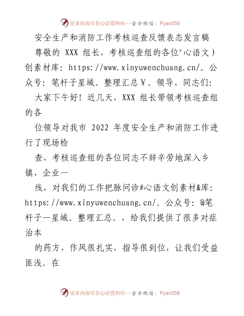 [发言] 安全生产与消防工作考核 - 感谢考核组并表态整改落实.docx_第1页