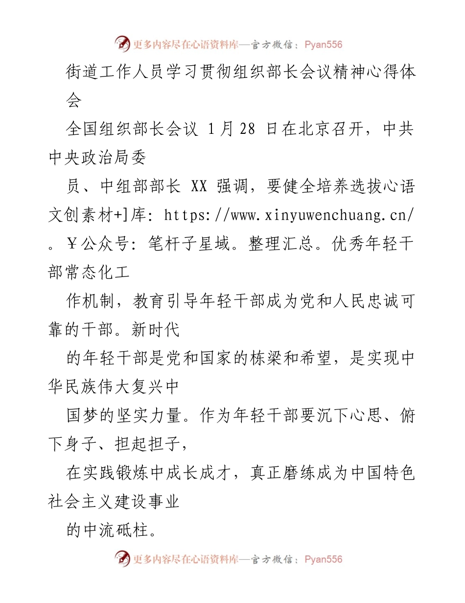 [发言] 学习贯彻全国组织部长会议精神 - 年轻干部的使命与担当.docx_第1页