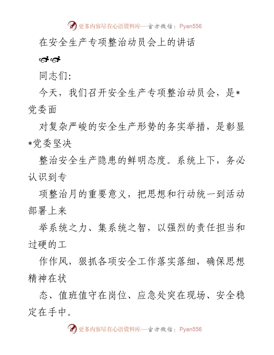 [发言] 安全生产专项整治动员会 - 加强安全生产责任，确保隐患整治落实.docx_第1页