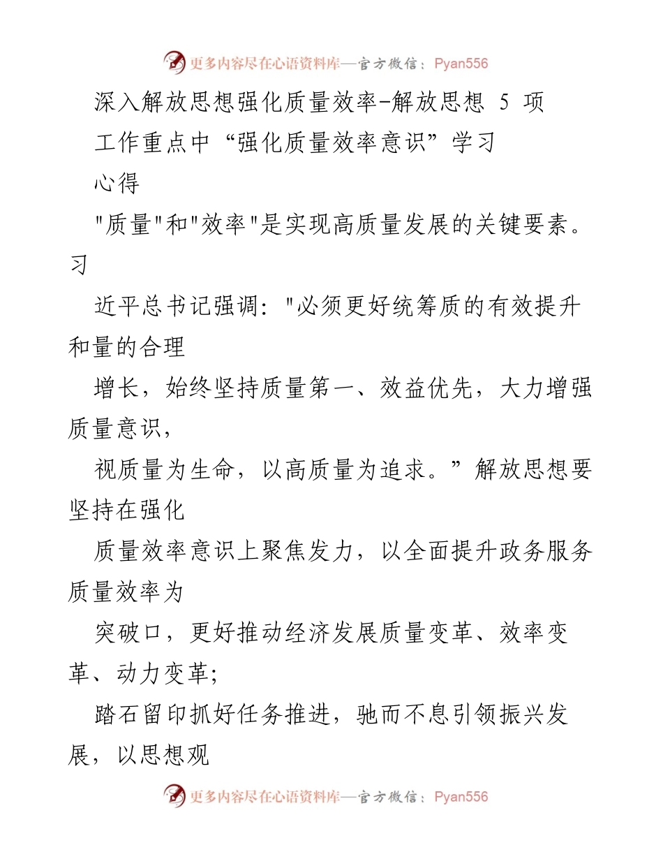 [发言] 学习研讨会 - 深入解放思想，强化质量与效率意识.docx_第1页