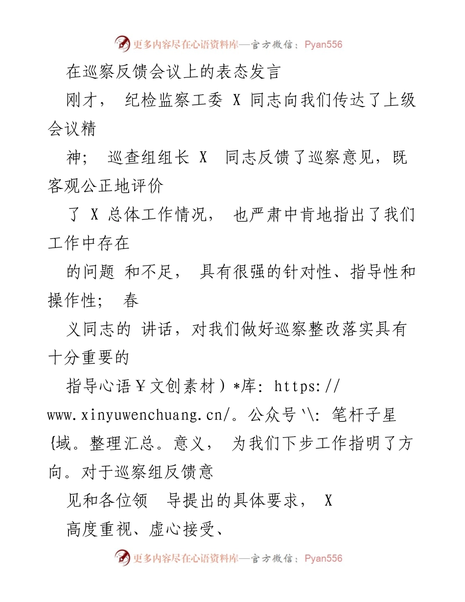 [发言] 巡察反馈会议 - 坚决落实巡察整改，推动工作再上新台阶.docx_第1页