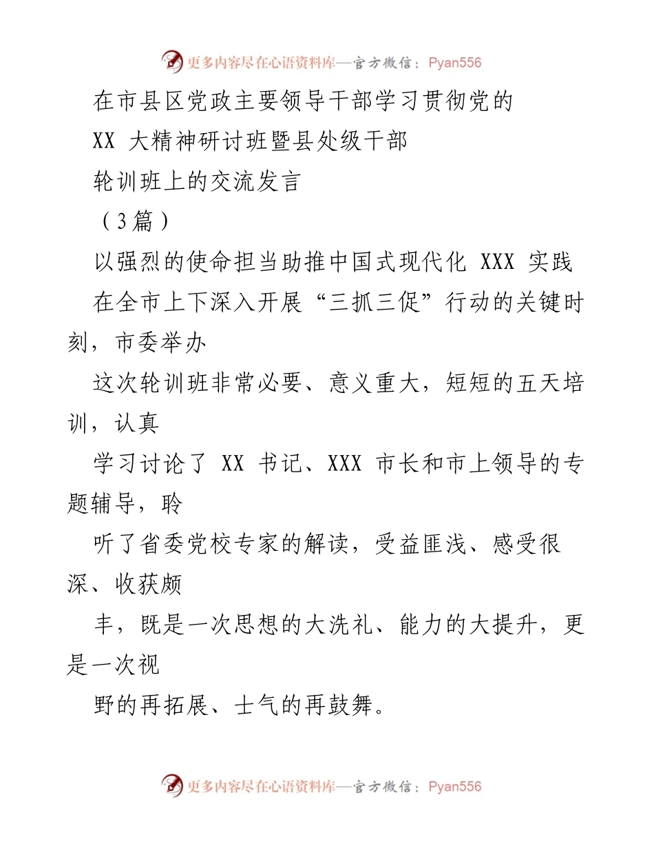 [发言] 学习贯彻党的XX大精神研讨班 - 以使命担当推动中国式现代化实践.docx_第1页