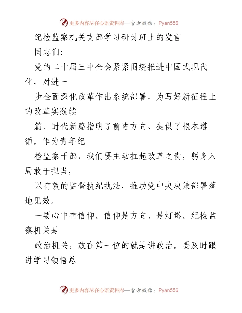 [发言] 学习研讨班 - 青年纪检监察干部的责任与担当.docx_第1页
