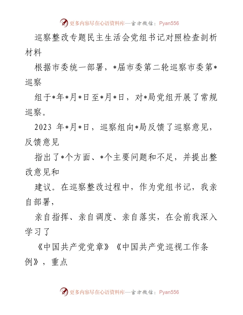 [发言] 巡察整改专题民主生活会 - 党组书记巡察整改对照检查剖析材料_1.docx_第1页