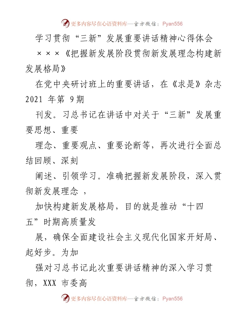 [发言] 学习研讨会 - 深入学习贯彻“三新”发展重要讲话精神的体会与思考.docx_第1页